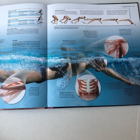 3/$12! InSiders Human Body Linda Calabresi 3D Illustrations HC  9781416938613 - Picture 5 of 5